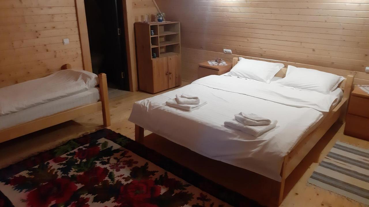ホテル Casa Buga Vişeu de Sus エクステリア 写真